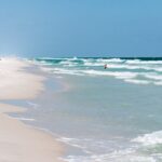 garden-inn-bg-1024×680-1